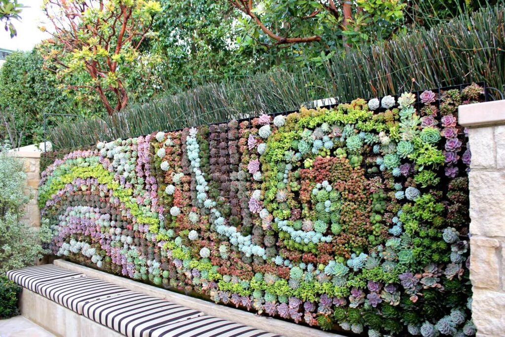 Succulent wall art